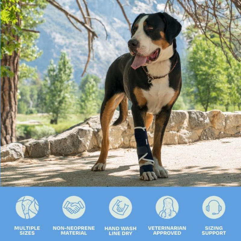 Carpal Hyperextension Dog Brac - огляд і ціна Ankle Brace Support