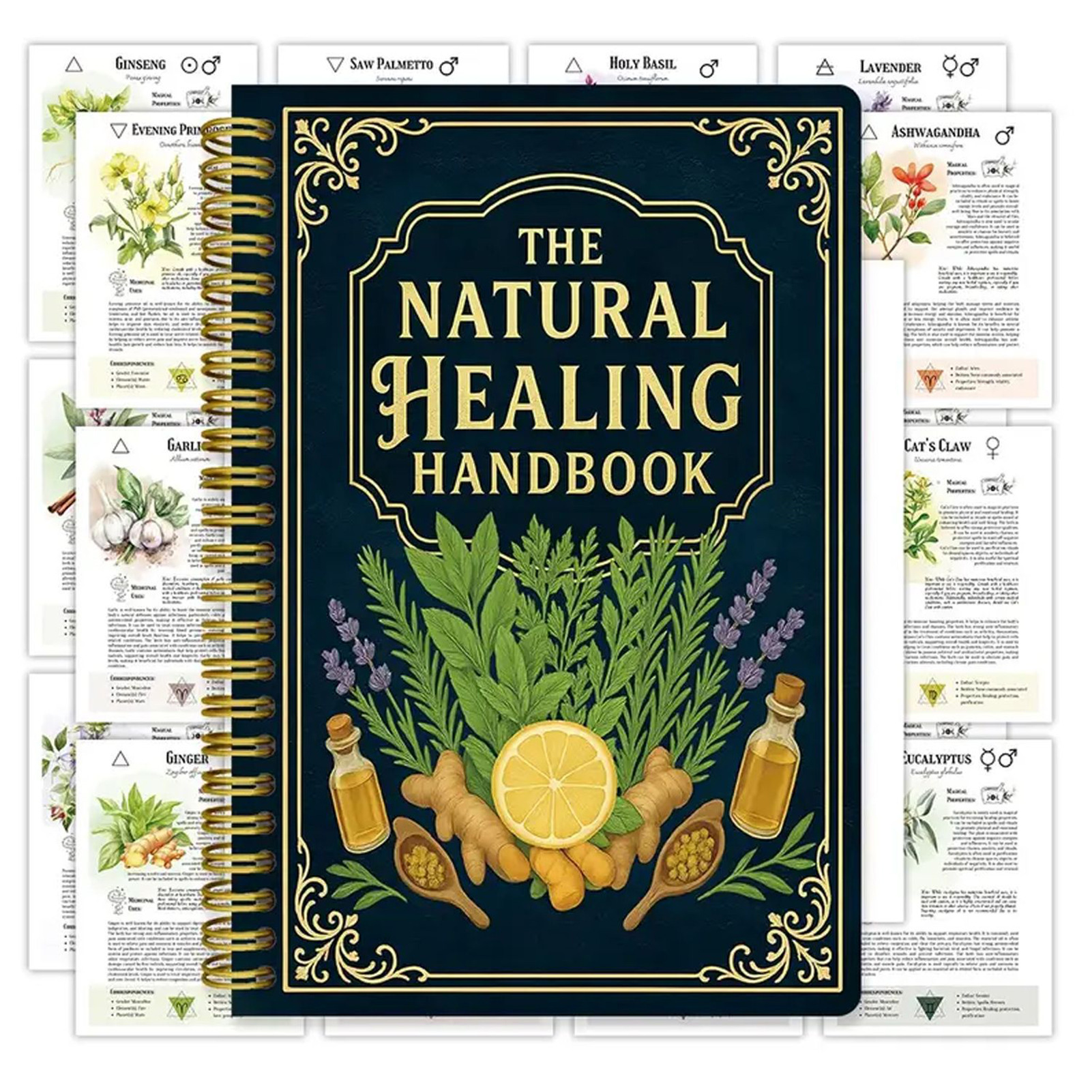 Natural Therapy Handbook, an E - огляд і ціна Health & Wellness Website